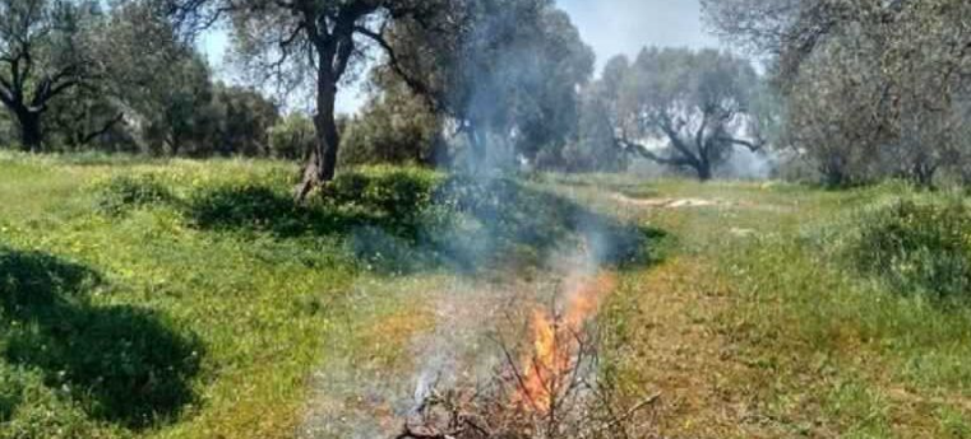 Δήμος Κορινθίων: Λήγει η προθεσμία για καύσεις – Υποχρεωτικός ο καθαρισμός οικοπέδων ενόψει αντιπυρικής περιόδου